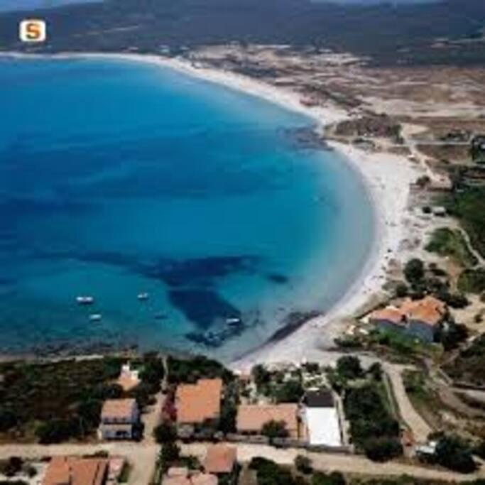 Apartament Sardegna Casa A 250 Metri Dal Mare Con Piscina Olbia Zewnętrze zdjęcie